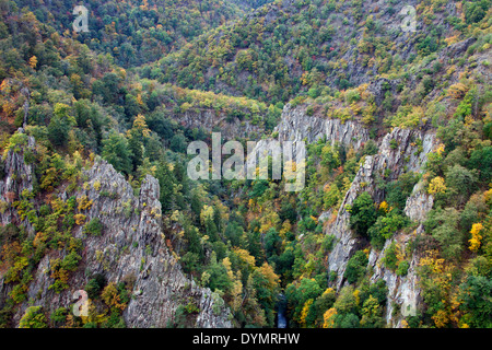 Vue sur la rivière de bon augure dans la Bodetal / Vallée de Bode, Harz, Thale, Saxe-Anhalt, Allemagne Banque D'Images