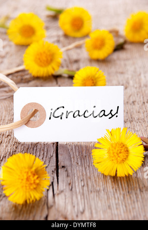 Fleurs jaunes avec une étiquette avec le mot espagnol Gracias sur elle ce qui signifie Merci Banque D'Images