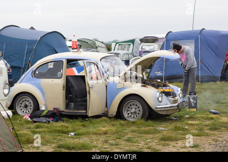 Volkswagen Beetle de rat sur un camping avec les campeurs et les tentes Banque D'Images