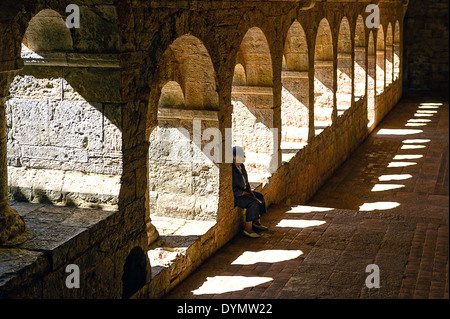 Europe, France, Var, Le Thoronet, abbaye cistercienne. Le cloître. Banque D'Images