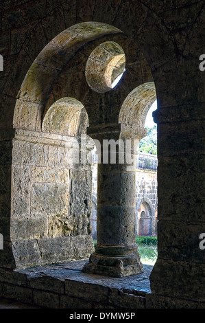 Europe, France, Var, Le Thoronet, abbaye cistercienne. Le cloître. Détail. Banque D'Images