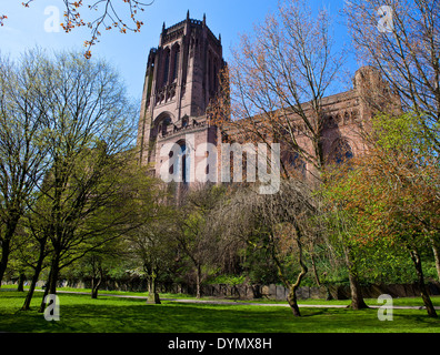 Une vue de la cathédrale anglicane de Liverpool à travers les arbres du cimetière St James. Banque D'Images