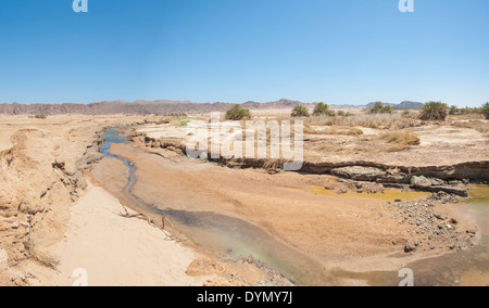 Petit ruisseau qui traverse le désert une oasis dans les zones arides désert paysage Banque D'Images