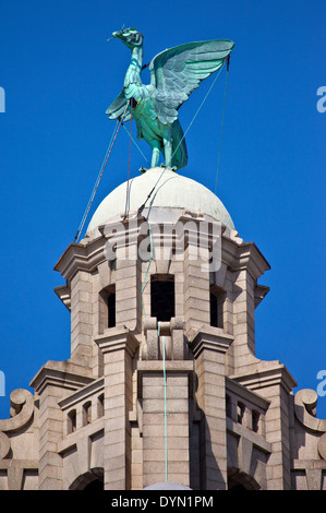 Une statue d'oiseau foie trouve juste au dessus de la Royal Liver Building à Liverpool. Banque D'Images