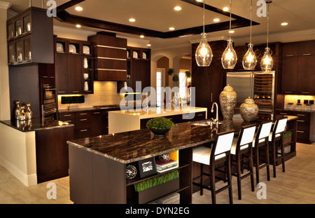 Luxe intérieur cuisine dans home à Windermere, Floride Banque D'Images