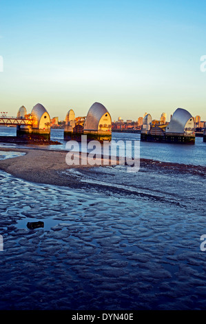 La rivière Thames Flood Barrier à marée basse, vue de la rive nord à Silvertown, Londres, Angleterre, Royaume-Uni Banque D'Images