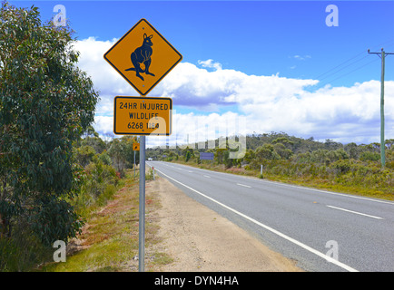 Kangaroo crossing road sign en Australie Banque D'Images