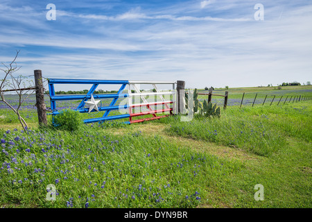 Et un champ Bluebonnet clôture avec porte le long de la route au Texas spring Banque D'Images