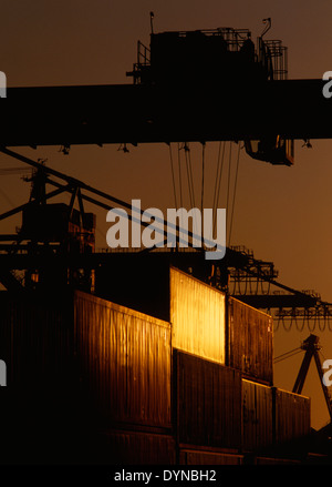 Plus de grues conteneurs de fret, Port de Long Beach, California, United States Banque D'Images
