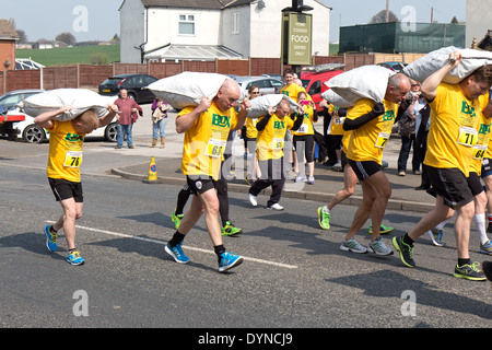 L'Organisation mondiale de transport de charbon, Championnat Gawthorpe, West Yorkshire, le lundi de Pâques 2014. homme l'investiture au début de la course Banque D'Images