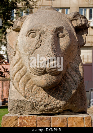 Musée égyptien du Caire.Un chef d'un lion dans la cour du Musée. Banque D'Images