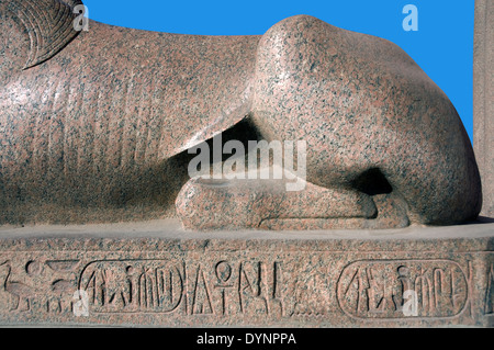 Musée égyptien Le Caire : un détail d'un sphinx dans la cour du Musée. Banque D'Images