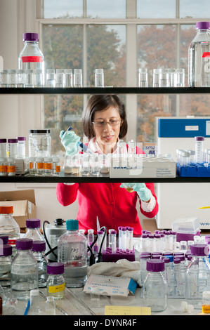 Scientist working in Lab College Park, Maryland Banque D'Images