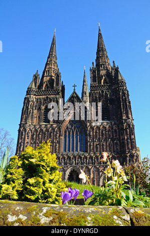 Façade ouest de la cathédrale avec les fleurs du printemps à l'avant-plan, Lichfield, Staffordshire, Angleterre, Royaume-Uni, Europe de l'ouest. Banque D'Images