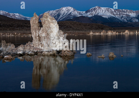 Tours de tuf calcaire le long de la rive sud du lac Mono brille la lumière avant l'aube Banque D'Images