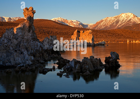 La lumière se reflète sur l'eau entourant le tuffeau tours le long de la rive sud du lac Mono au lever du soleil. Banque D'Images