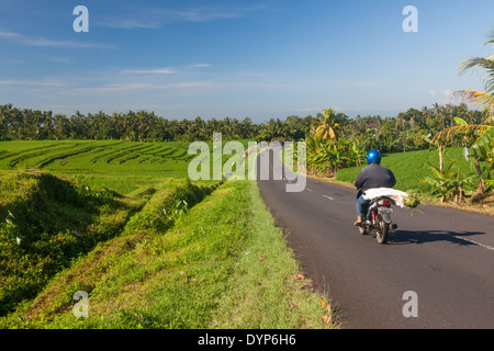 Route asphaltée entre Belimbing et Antosari, Régence Tabanan, Bali, Indonésie Banque D'Images
