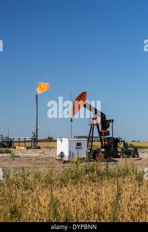 Une production de pétrole et de gaz à la torche pumper dans le champ Bakken près de Stoughton, Saskatchewan, Canada. Banque D'Images