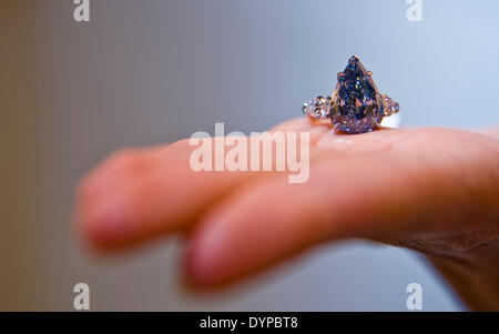 Hong Kong, Chine. Apr 24, 2014. Un employé de Christie's montre un diamant bleu, d'un poids de 13,22 carats, chez Christie's à Hong Kong, Chine du sud, le 24 avril 2014. Le diamond, estimée à 21 millions de dollars à 25 millions de dollars américains, sera mise aux enchères à Genève en mai 14. Credit : Lui Siu Wai/Xinhua/Alamy Live News Banque D'Images