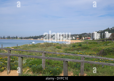 Vue depuis la plage de narrabeen collaroy beach et dee vers pourquoi beach Banque D'Images