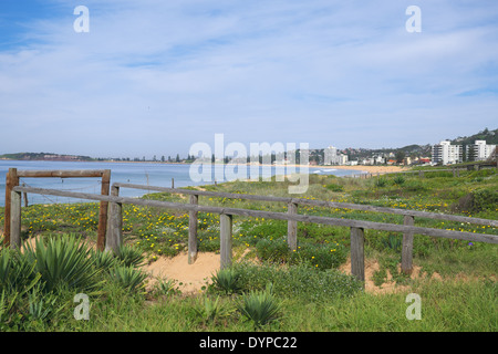 Vue de narrabeen beach à la recherche au sud vers Sydney et collaroy beach et plage de dee pourquoi Banque D'Images