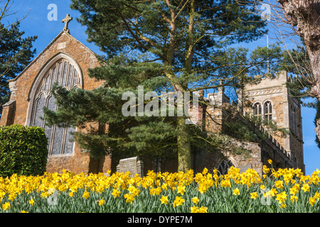 Eglise paroissiale St Egelwin au printemps entourée de jonquilles hôtel Grange Country House UK Leicestershire Melton Mowbary Banque D'Images