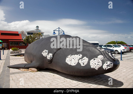 Baleine géante en face de la Maison-musée des baleines à Hermanus, Western Cape, Afrique du Sud Banque D'Images