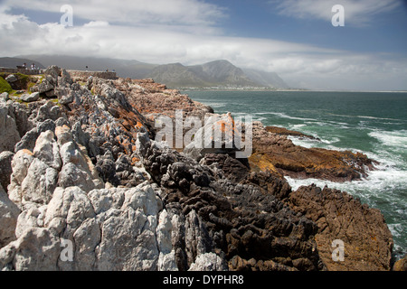 La côte rocheuse à Hermanus, Western Cape, Afrique du Sud Banque D'Images