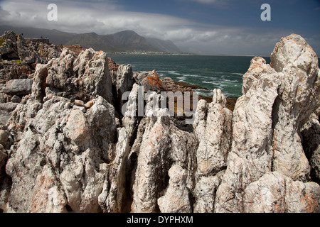 La côte rocheuse à Hermanus, Western Cape, Afrique du Sud Banque D'Images