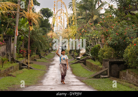 Un village typique, à proximité de l'culte Tampaksiring Gunung Kaki. Ubud. Bali. Champ de riz situé autour du temple de Gunung Kaki Banque D'Images