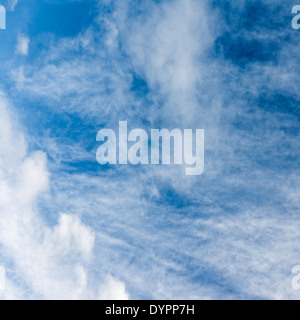 Motifs abstraits de semi-filandreux nuage blanc contre un ciel bleu ; format carré. Banque D'Images