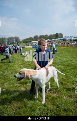 Garçon avec foxhound Banque D'Images