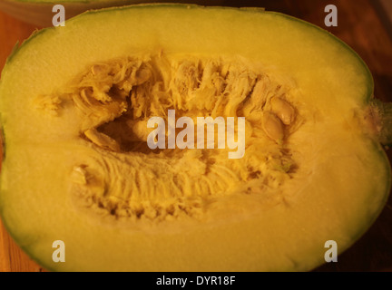 Cucurbita pepo courge spaghetti close up of fruit montrant seeds Banque D'Images