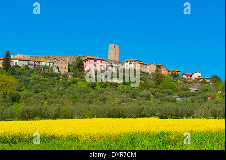 Monte del Lago, le lac Trasimène, Ombrie, coeur vert de l'Italie. La beauté d'un champ de fleurs de colza jaune sous la tour Banque D'Images