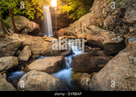 Eagle Falls dans Cumberland Falls State Resort Park, New York Banque D'Images