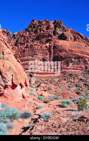 Paysage de Red Rock dans le sud-ouest USA, Nevada Banque D'Images