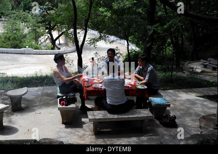 Barbecue dans le parc Banque D'Images