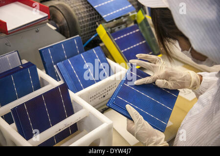 Un travailleur examine les wafers après écran l'impression à partir d'une ligne standard de Suntech Power Holdings Banque D'Images