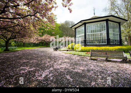 Fleur de printemps au kiosque du château de Nottingham, Nottinghamshire England UK Banque D'Images