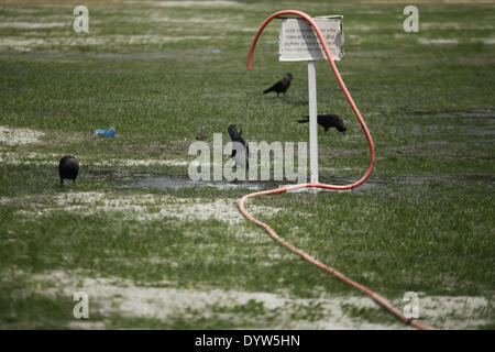 Dhaka, Bangladesh. Apr 25, 2014. Craws boivent de l'eau par temps chaud n Dhaka.Les gens dans la capitale a connu la journée la plus chaude dans les 54 dernières années comme le mercure a grimpé à 40,7 degrés Celsius hier, le Met Office dit.La précédente la température la plus élevée a été enregistrée dans la capitale 42,3 degrés le 30 avril 1960, selon le Bangladesh Meteorological Department. La température la plus élevée le 24 avril l'année dernière à Dhaka a été 34,2 degrés. Zakir Hossain Chowdhury Crédit :/NurPhoto ZUMAPRESS.com/Alamy/Live News Banque D'Images