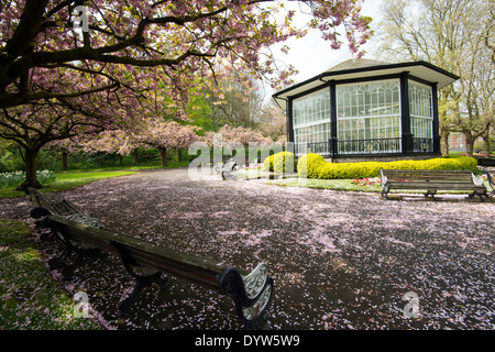 Fleur de printemps au kiosque du château de Nottingham, Nottinghamshire England UK Banque D'Images
