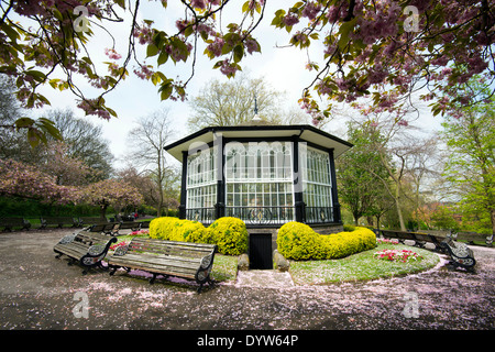 Fleur de printemps au kiosque du château de Nottingham, Nottinghamshire England UK Banque D'Images