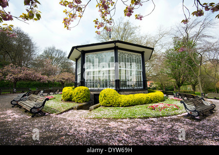 Fleur de printemps au kiosque du château de Nottingham, Nottinghamshire England UK Banque D'Images