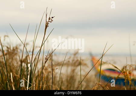 Petit bateau de pêche traditionnelle sur les rives des marécages près de Alcochete par le Tage Banque D'Images