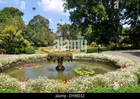 Jardins botaniques royaux, Peradeniya, Sri Lanka Banque D'Images