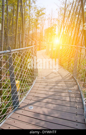 Pont des chaînes de fer du parc en forêt de bambou Banque D'Images