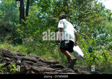 Yunnan, au Népal. Apr 25, 2014. Un chasseur de miel chefs vers la falaise pour la chasse au miel, Lamjung Népal, le 25 avril 2014. La chasse au miel est une tradition séculaire ici au Népal. Les chasseurs de miel local montrer leurs compétences exceptionnelles en accrochant des falaises eux-mêmes aussi haut que 300 mètres en utilisant des échelles de bambou et le chanvre cordes, tandis que la récolte du miel. © Pratap Thapa/Xinhua/Alamy Live News Banque D'Images