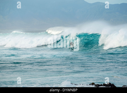 Surfeurs de la célèbre plage de Hookipa dans le North Shore de Maui. Banque D'Images