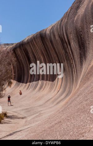 Wave Rock. Cette formation rocheuse naturelle incroyable près de Hyden en Australie de l'Ouest ressemble à une vague océanique. Banque D'Images