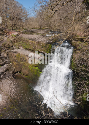 Sgwd uchaf (Oisans) sur l'Afon Gwyn-Mellte dans le Parc National des Brecon Beacons pays cascades Banque D'Images